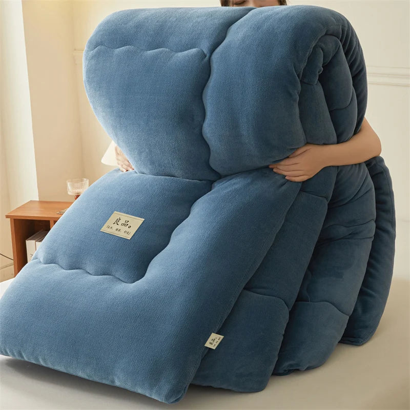 Thickened Milk Velvet Winter Warm Blanket for Bed Queen Size Soft Flannel Quilt Double-Sided Plush Single Double Thick Comforter