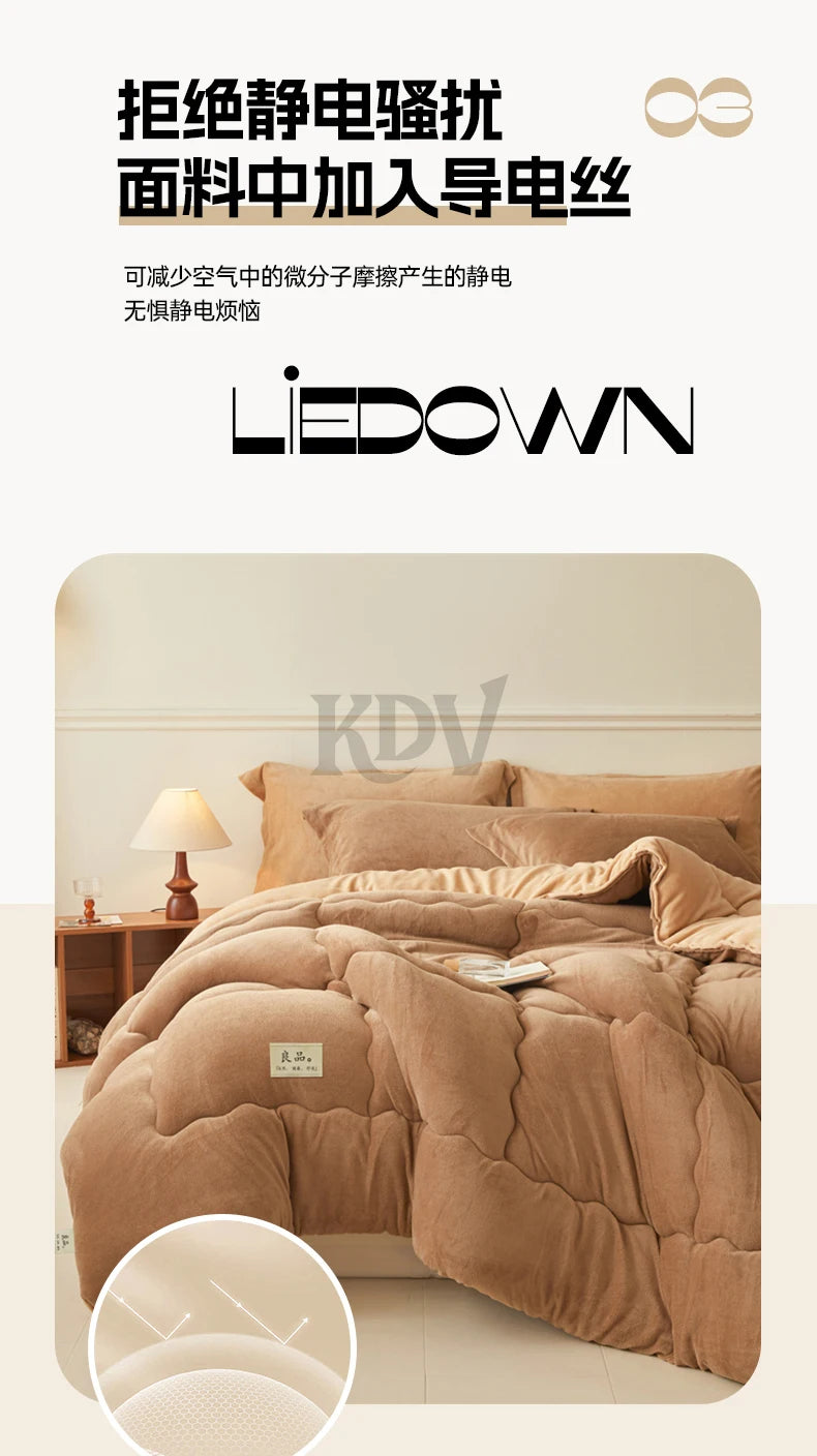 Thickened Milk Velvet Winter Warm Blanket for Bed Queen Size Soft Flannel Quilt Double-Sided Plush Single Double Thick Comforter