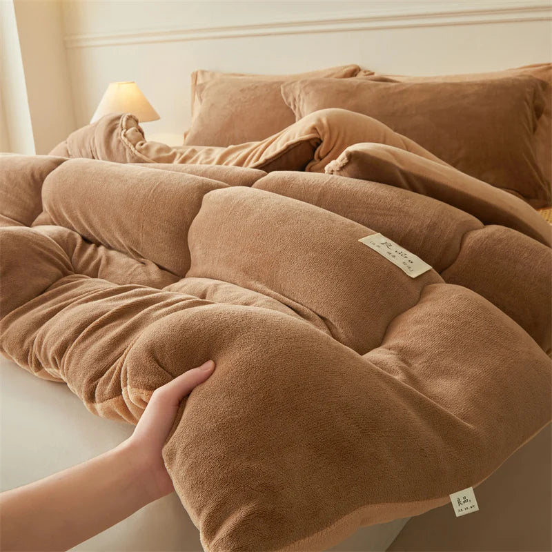Thickened Milk Velvet Winter Warm Blanket for Bed Queen Size Soft Flannel Quilt Double-Sided Plush Single Double Thick Comforter